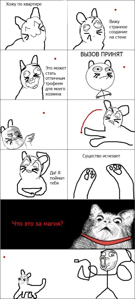 Дмитрий Касаткин | Новосибирск