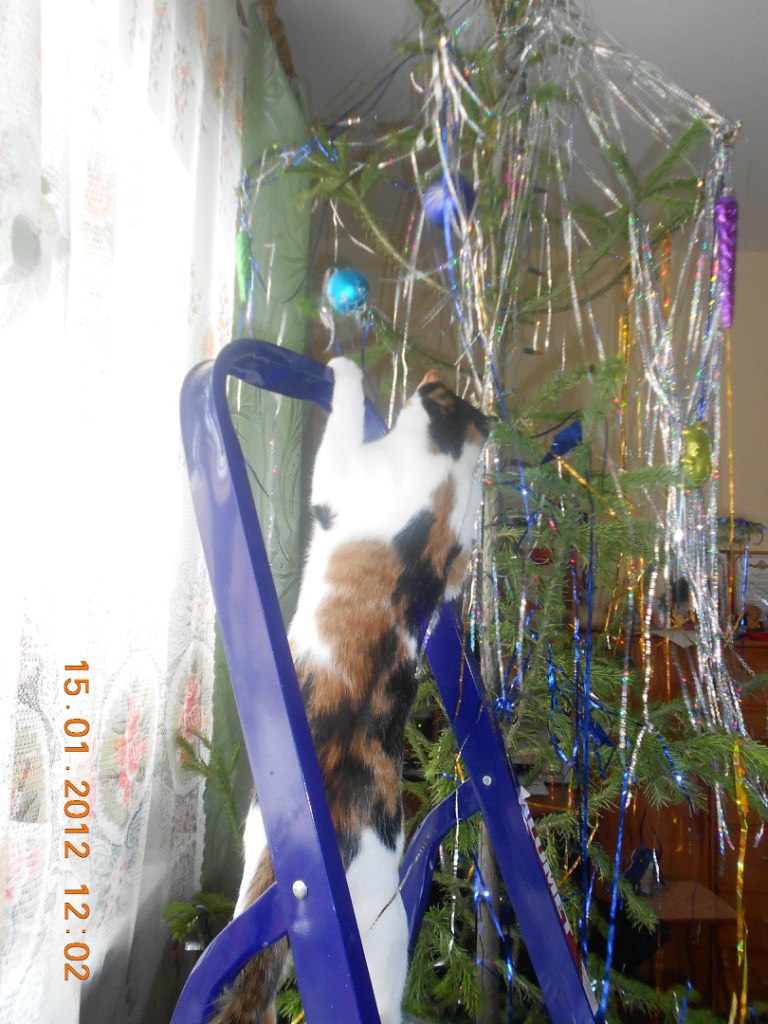 Ольга Дымова | Кемерово