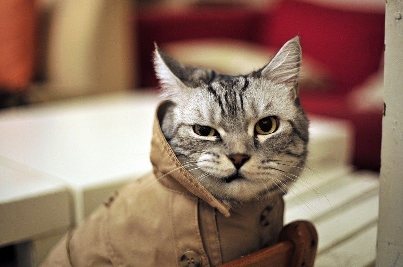 Ира Чёрная | Винница