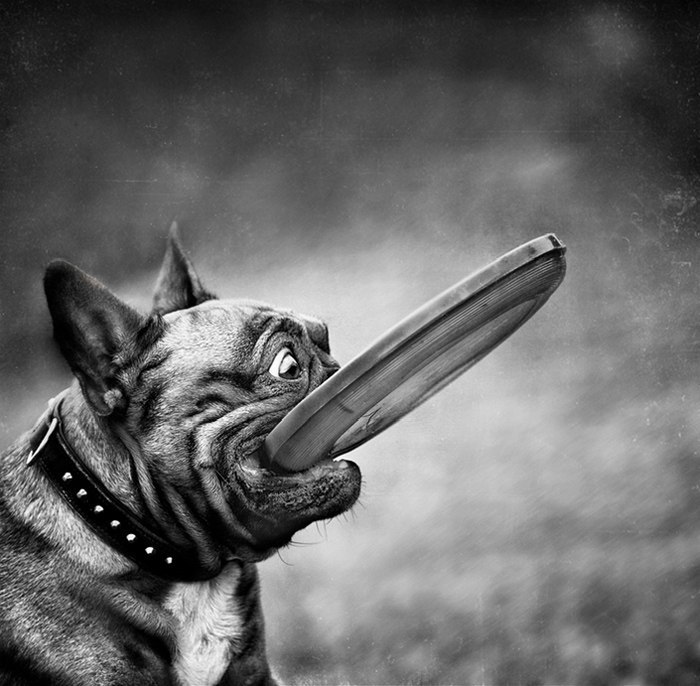 Женя Долгинцев | Чехов