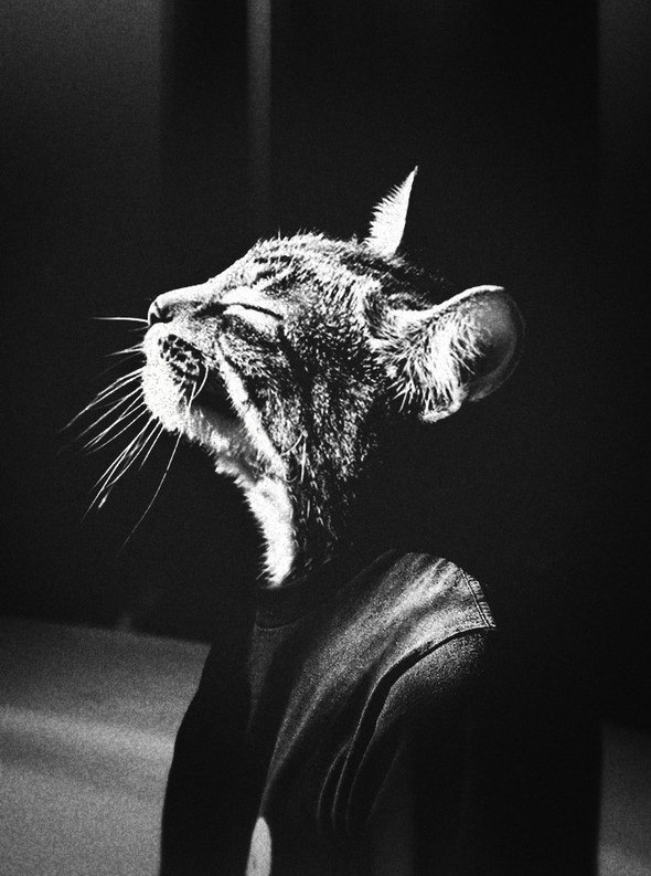 Pavel Shevchenko | Киев