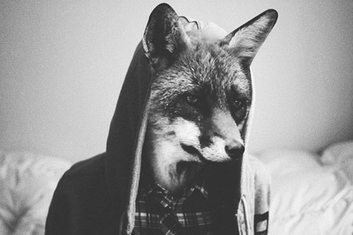 Андрей Бочаров Глупый Лис | Новосибирск