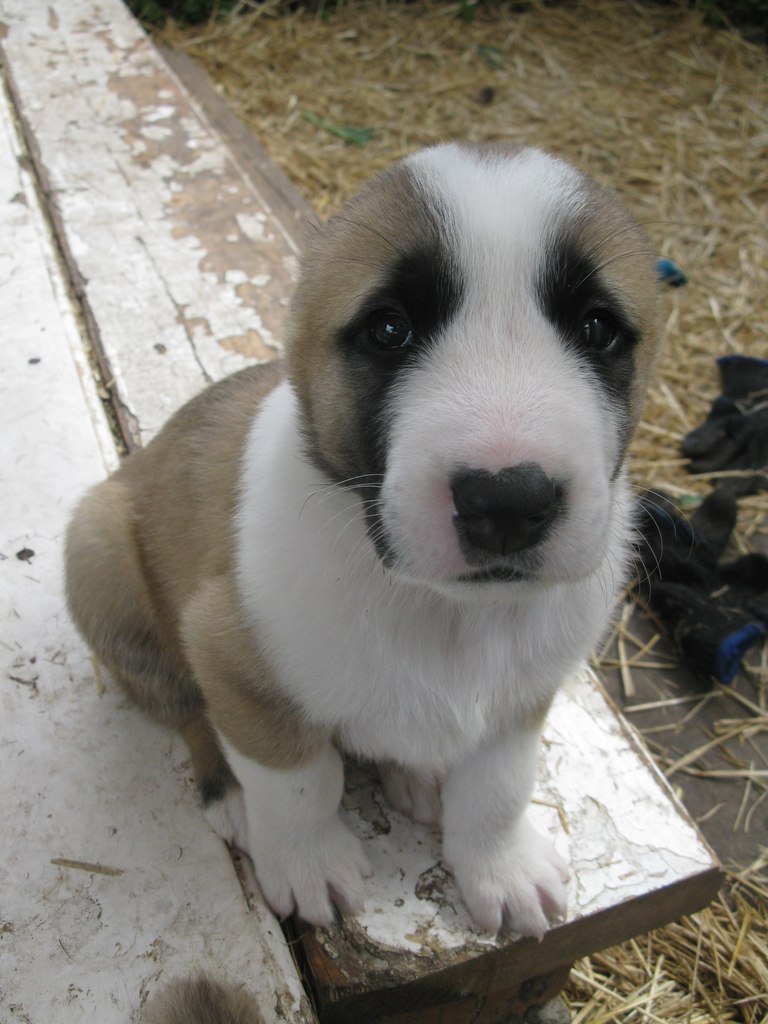 Дарья Харина | Москва