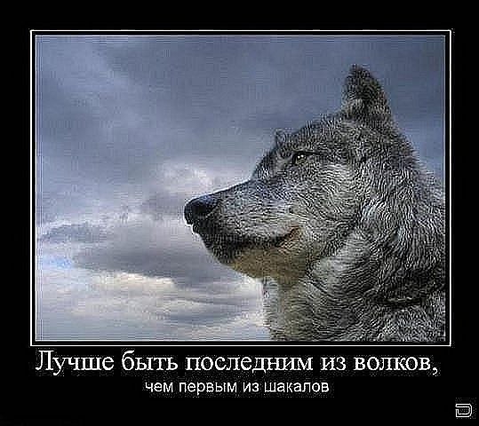 Сергей Рябко | Москва