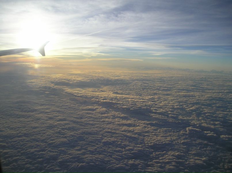 Сергей Пономарев | Воронеж