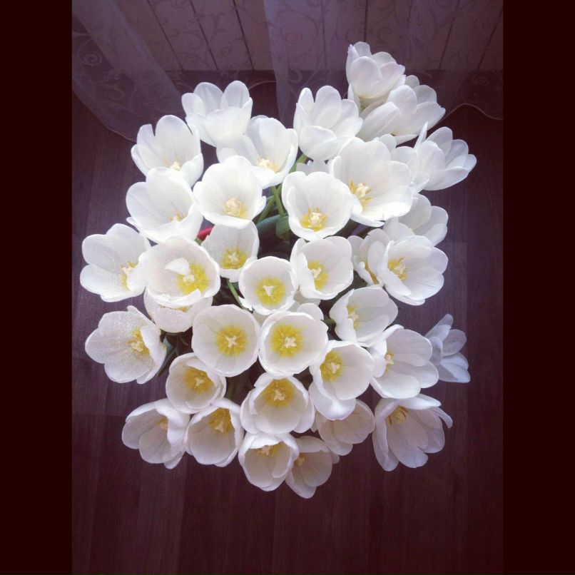 Anna Shirshova | Владивосток