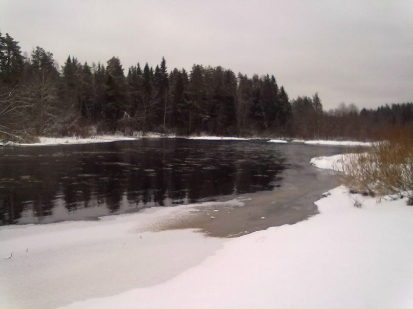 Кирилл Кольцов | Санкт-Петербург