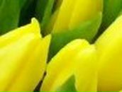 Кристина Фатьянова *Розкажи,мені на картах,де ти є* | Одесса