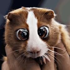 №17, Артем Бельский, 40 лет №17, Артем Бельский, 40 лет