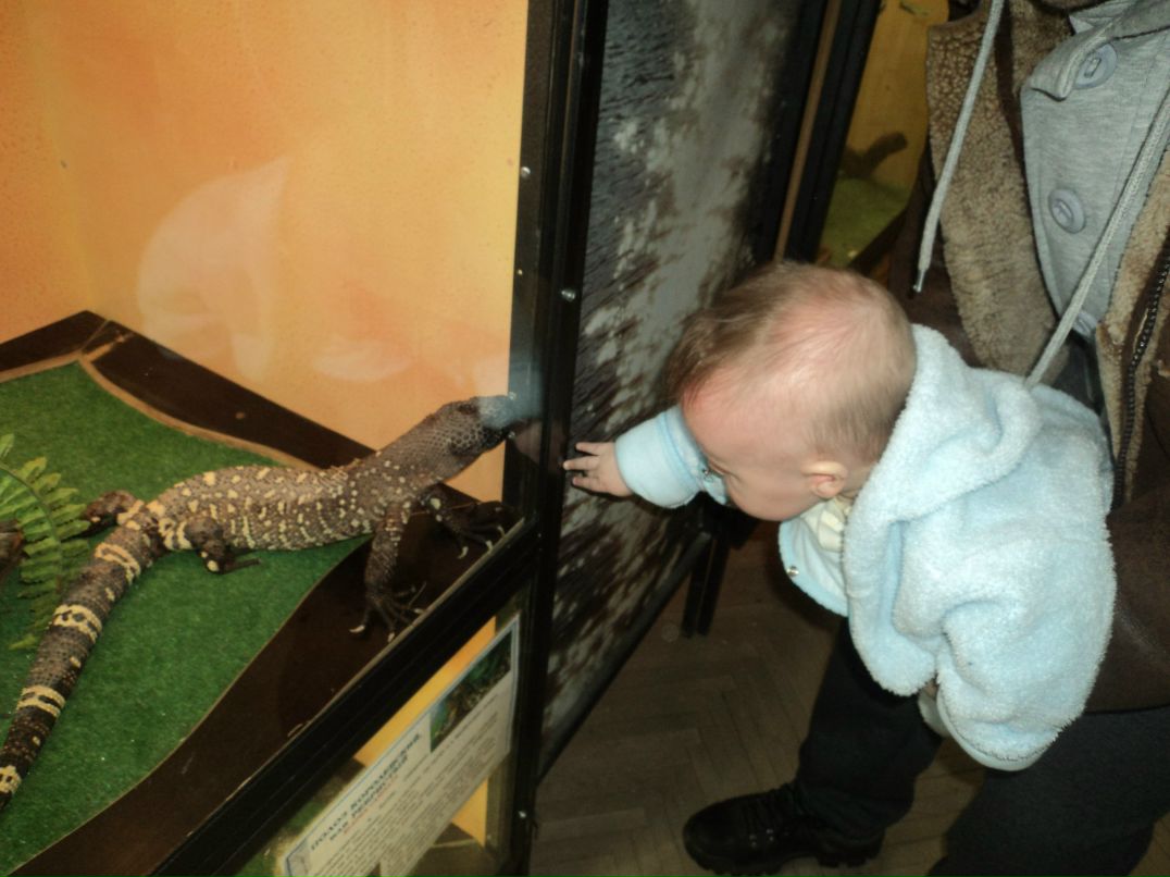 Вячеслав Трофимовский | Санкт-Петербург