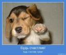 №26 Эльвира Купрюхина : профиль, фото, статус - ВКонтакте