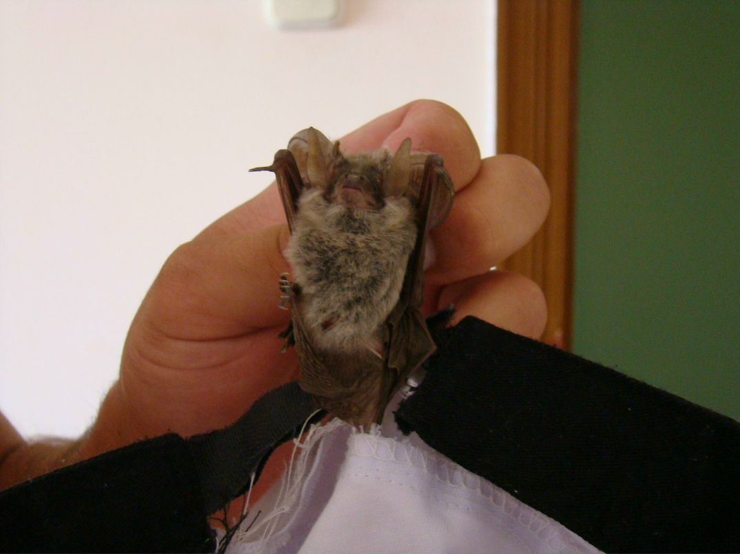 Иван Воробьев | Санкт-Петербург