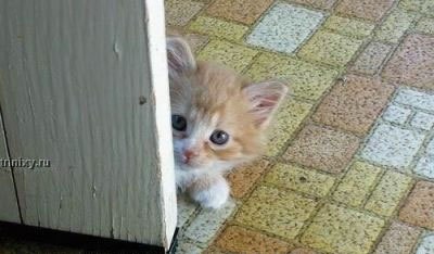 Александр Костенко | Верхний Рогачик