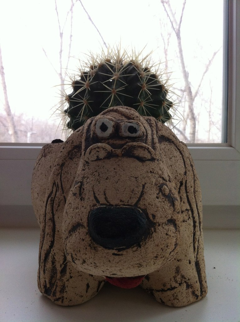 Даша Мурченко | Москва