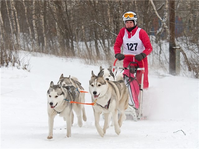 Анна Сафронова | Москва