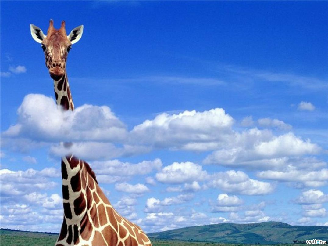 Ольга Глазырина | Пермь