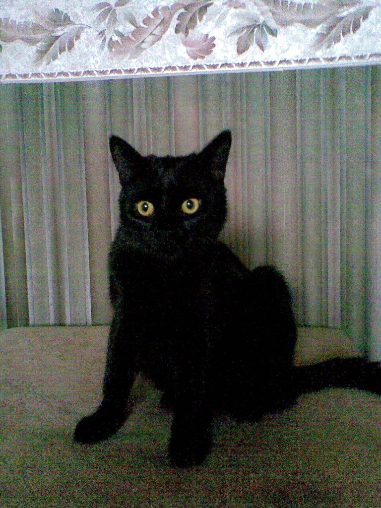 Николай Самохин 