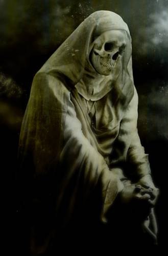 Евгений Пимочкин | Basse-Terre