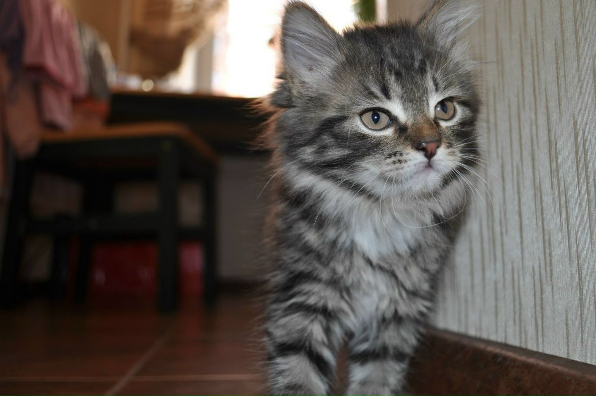 Сергей Сидоров | Москва