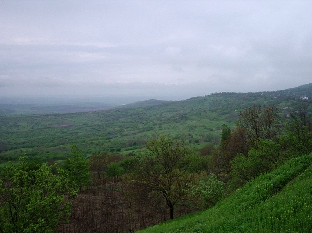 Надежда Михайлова | Москва