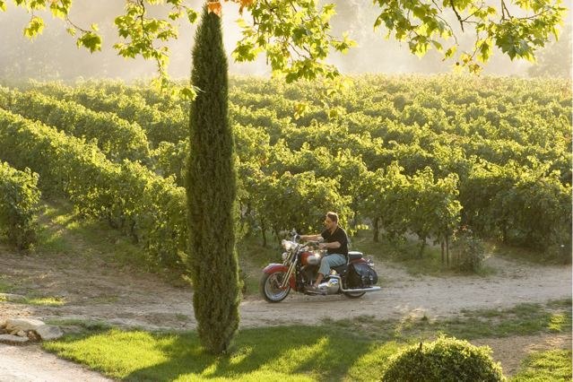 Ирина Барнаева - Frau Rau - | Stuttgart