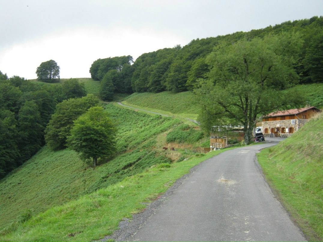 Светлана Иванова | Санкт-Петербург