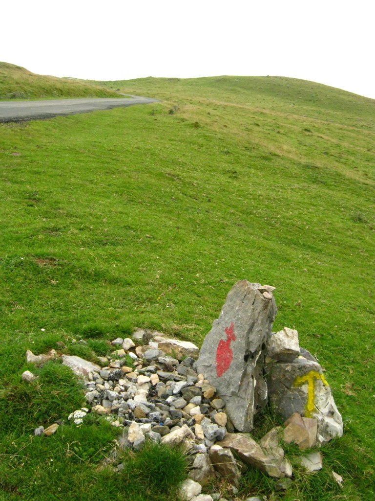 Светлана Иванова | Санкт-Петербург