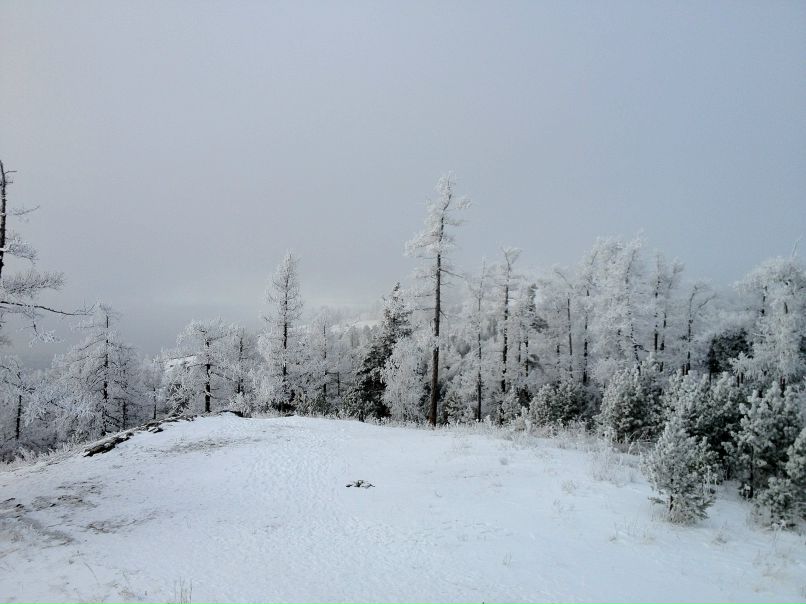 Василий Голосов | Киров