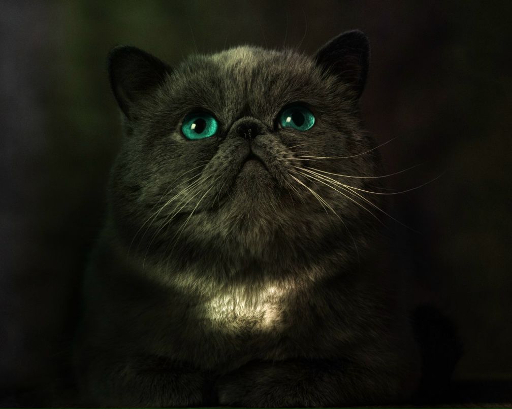 Алексей Данилов | Витебск