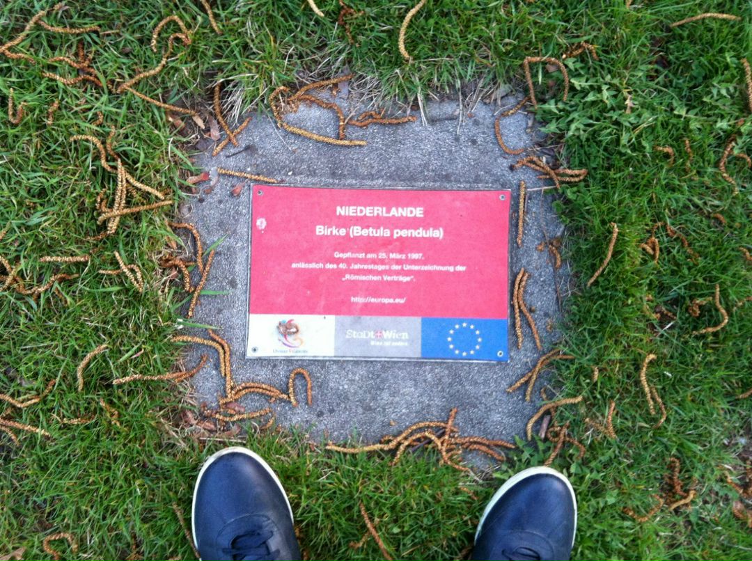 Igor Osincev | Praha