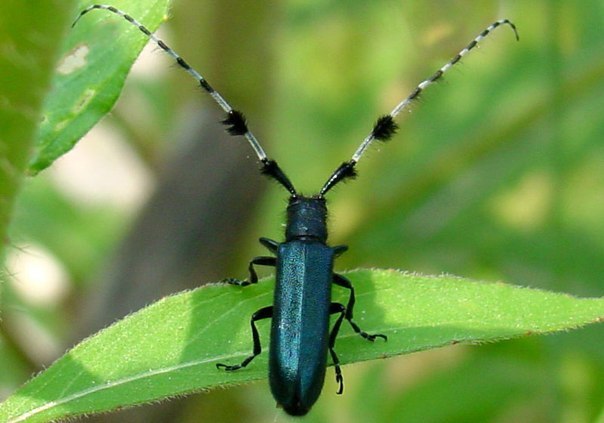 Андрей Гольцман | Северодонецк