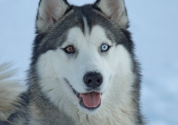 Эдян Саляхов | Набережные Челны