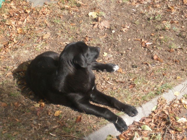 Svetlana Kopyova | León