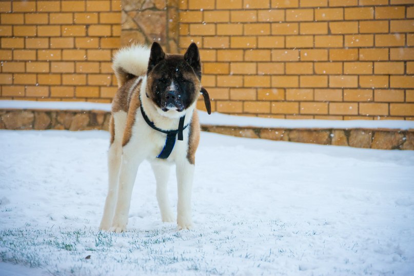 Андрей Святов | Казань