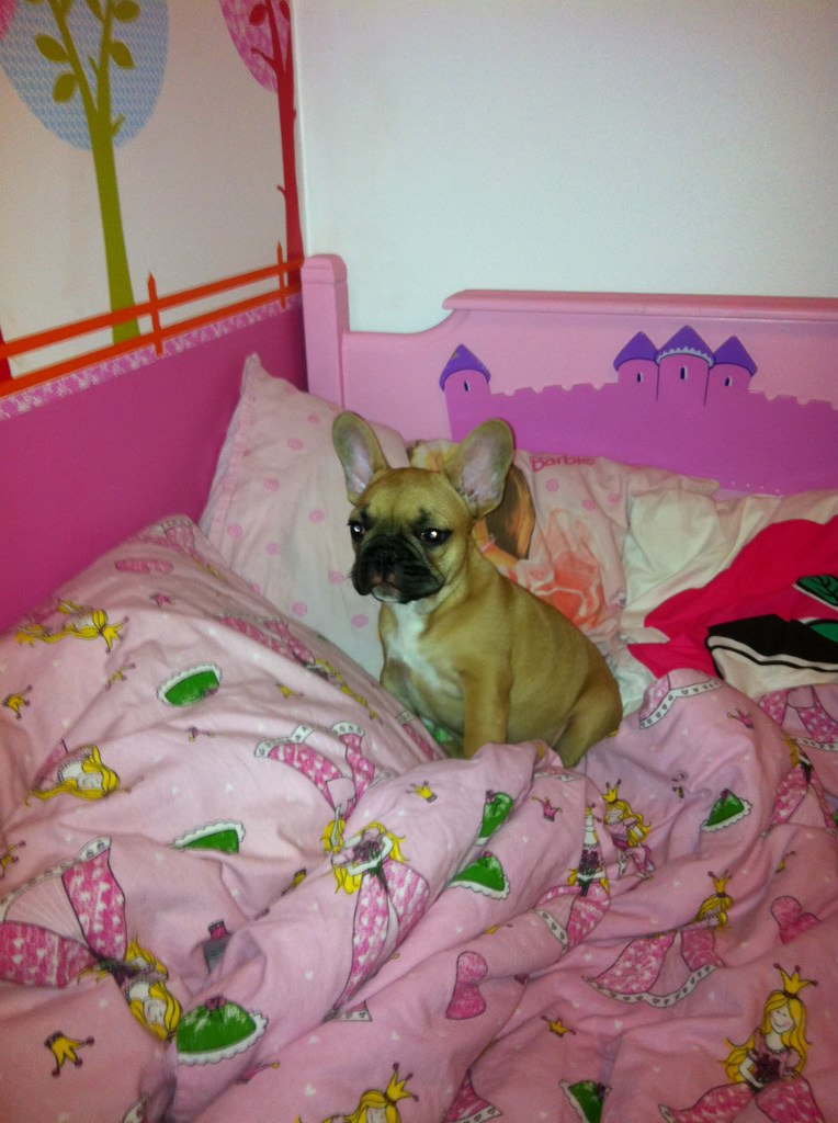 Maria Kuusinen | Москва