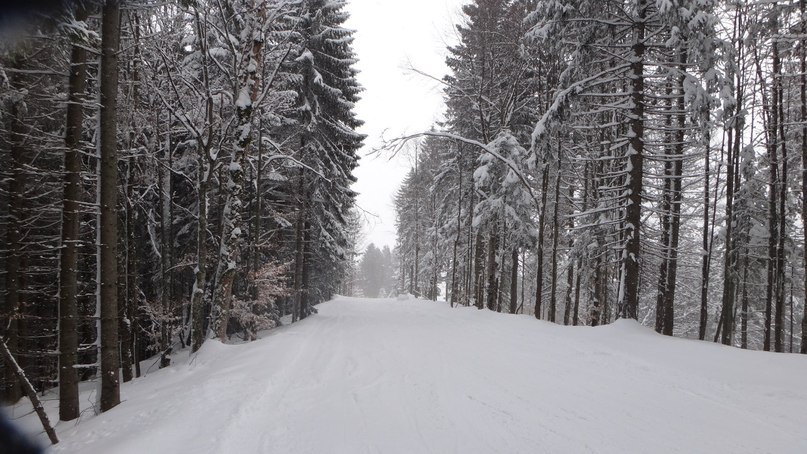 Антоха Матвеев | Харьков