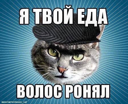 Кирилл Терентьев | Екатеринбург