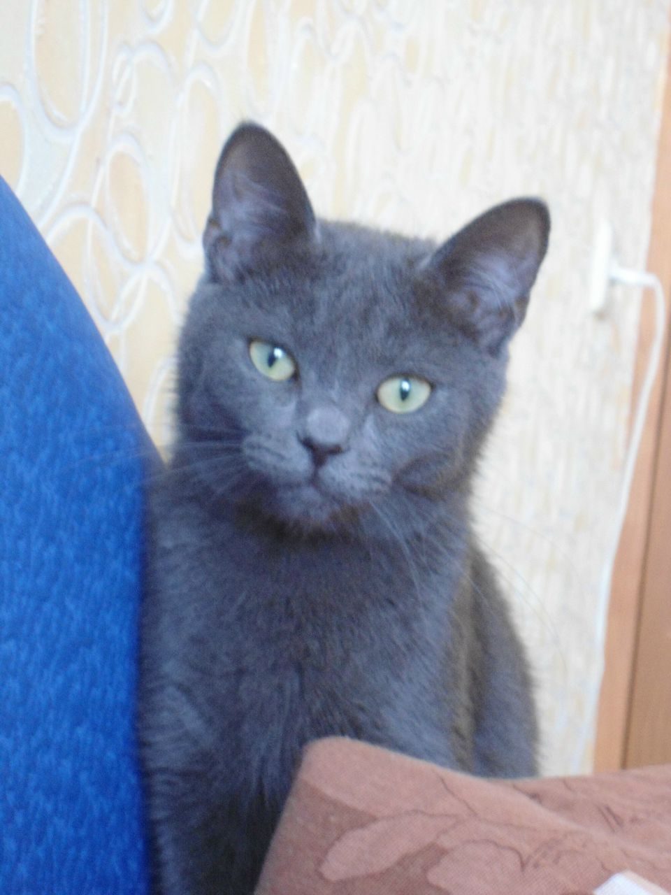 Татьяна Ясько | Тольятти