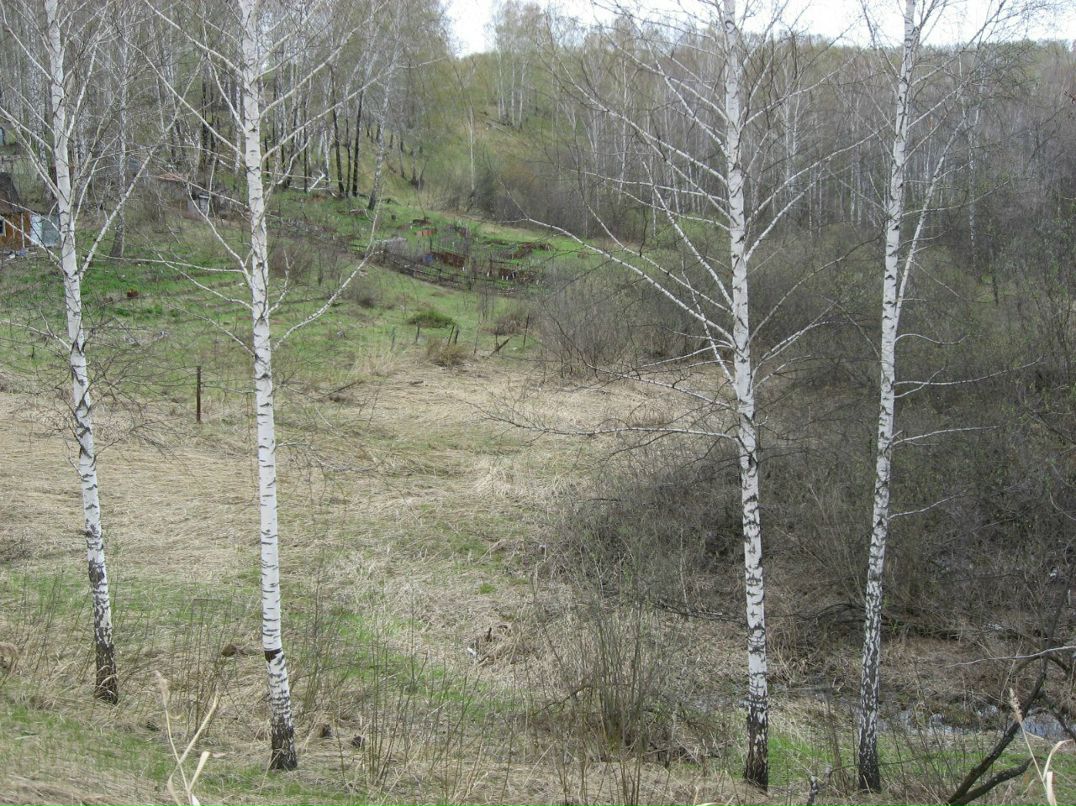 Николай Киселёв | Новосибирск