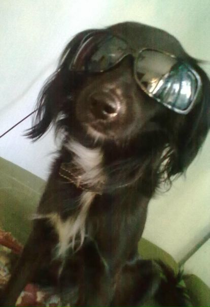 №10, Владислав Куспеков №10, Владислав Куспеков