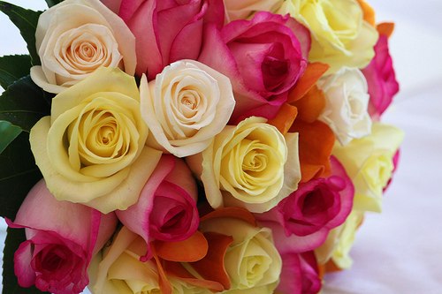 Lanochka Derpak ٠••★ I feel zazazu ★••٠ | 