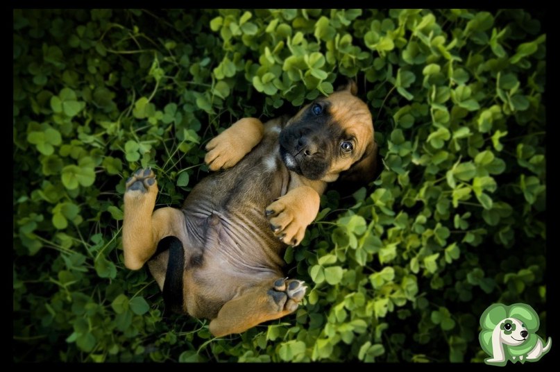 Юнона Юрьевна | Харьков