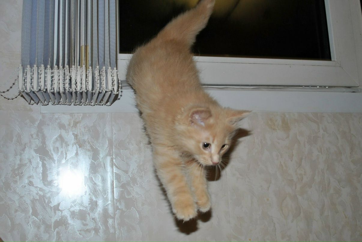 Наташа Никандрова | Светогорск