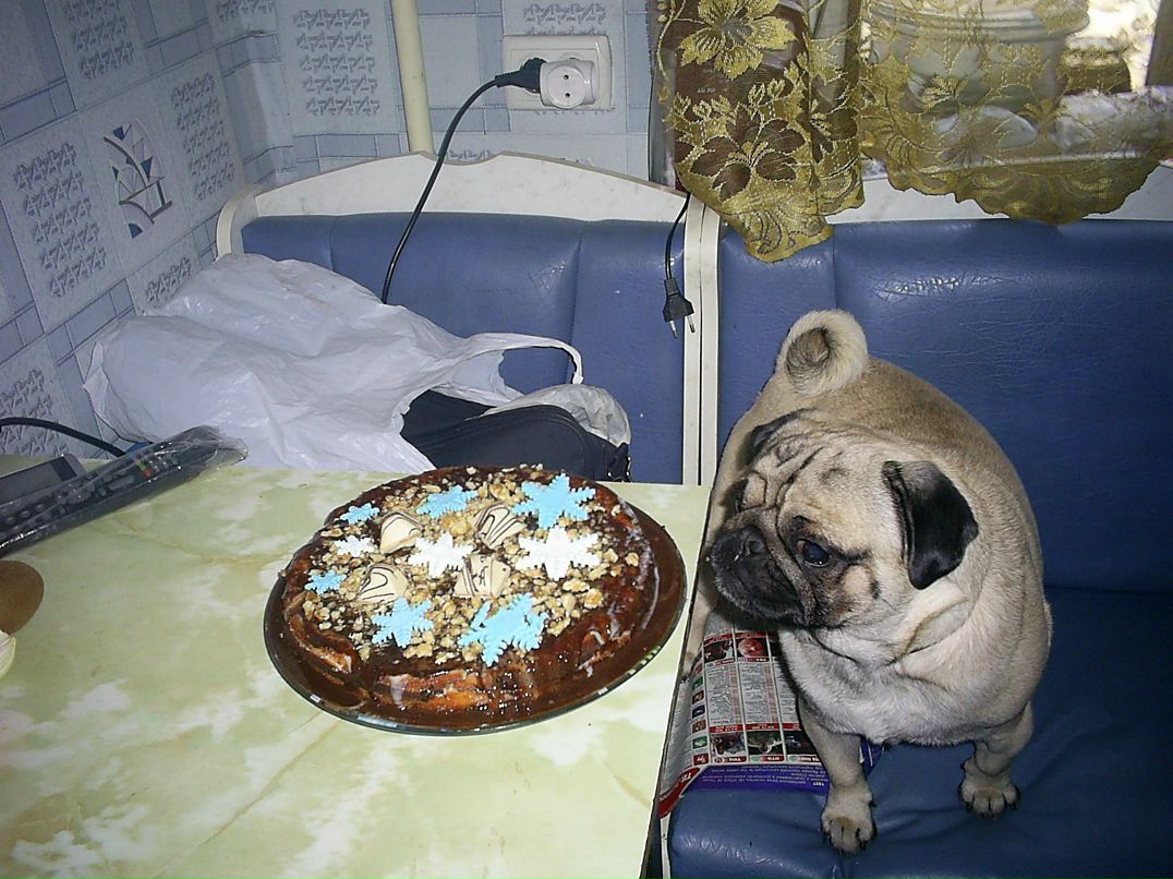 Елена Зинченко | Родинское