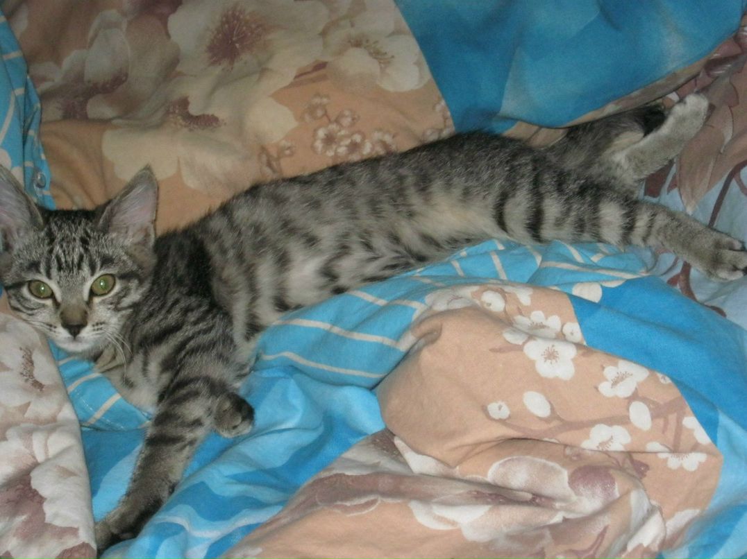 Лариса Ганченко | Норильск