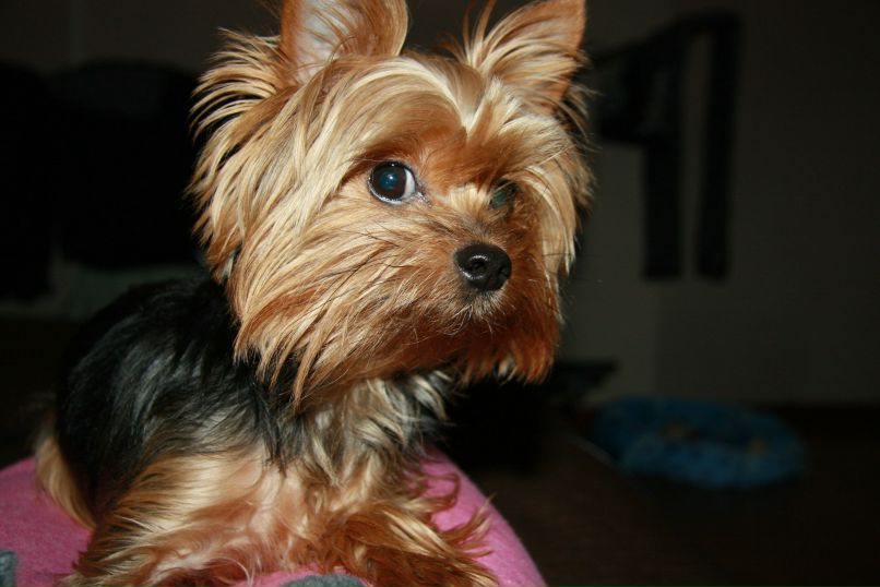 Олечка Титова princessa | Москва