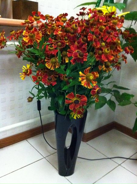 №4, Татьяна Цирульник, Санкт-Петербург №4, Татьяна Цирульник, Санкт-Петербург