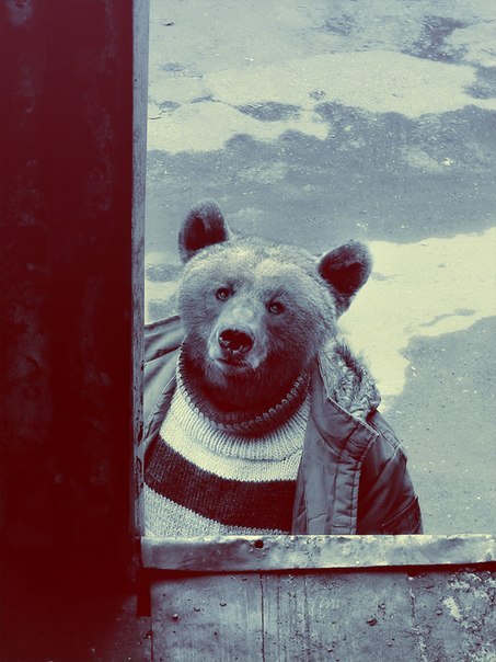 Андриаманитру Занахари | 