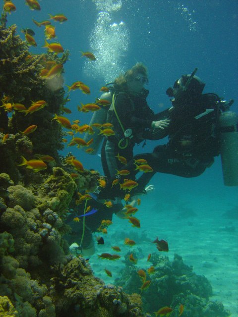 Юлия Задачина | Воронеж