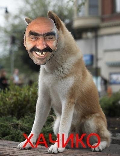 №6, Дима Бурашников №6, Дима Бурашников